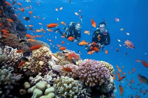 Phú Quốc: Kiến tạo cộng đồng văn minh bền vững