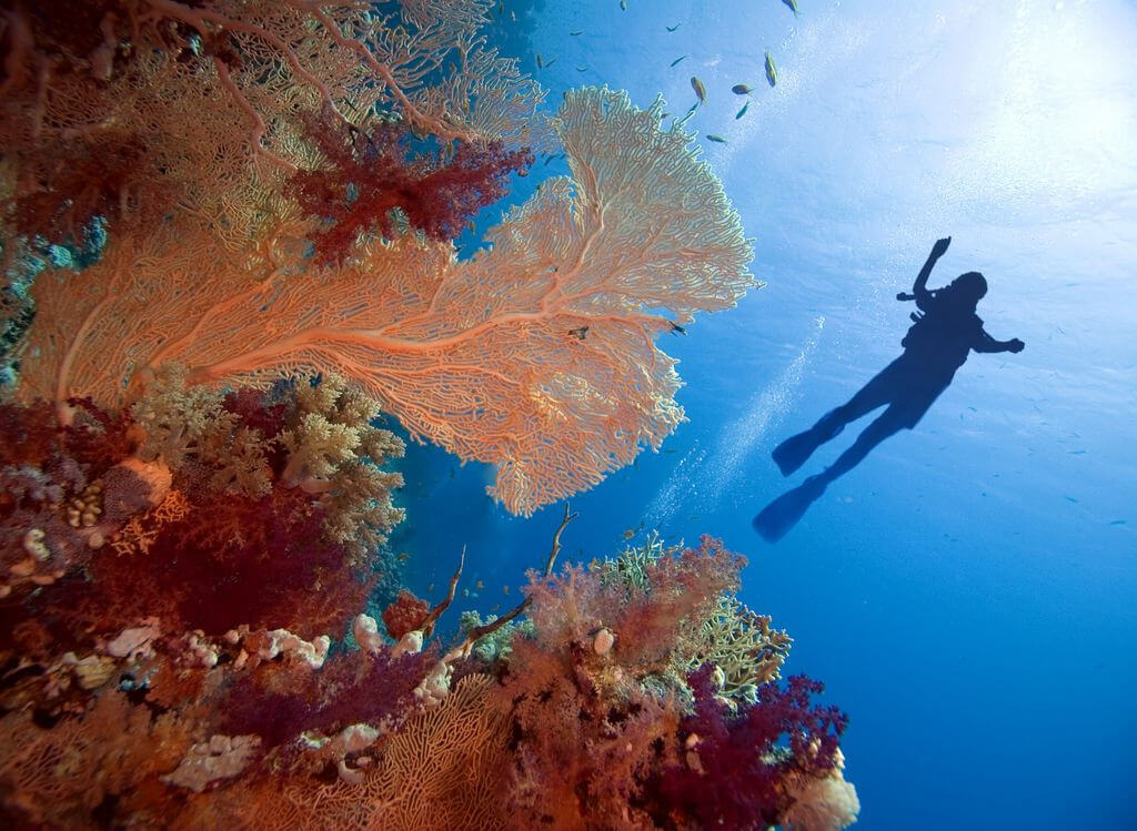 Giáo dục trải nghiệm sinh thái biển tại Phú Quốc: Hướng tiếp cận UNESCO cho phát triển du lịch bền vững